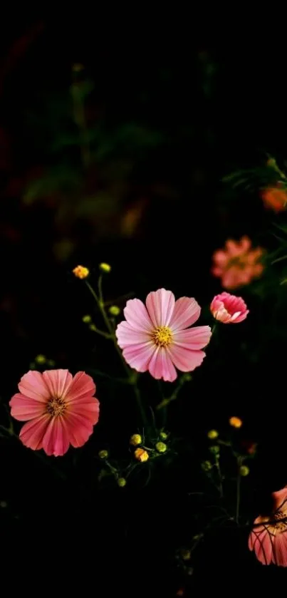 Dark background with pink flowers and green leaves.