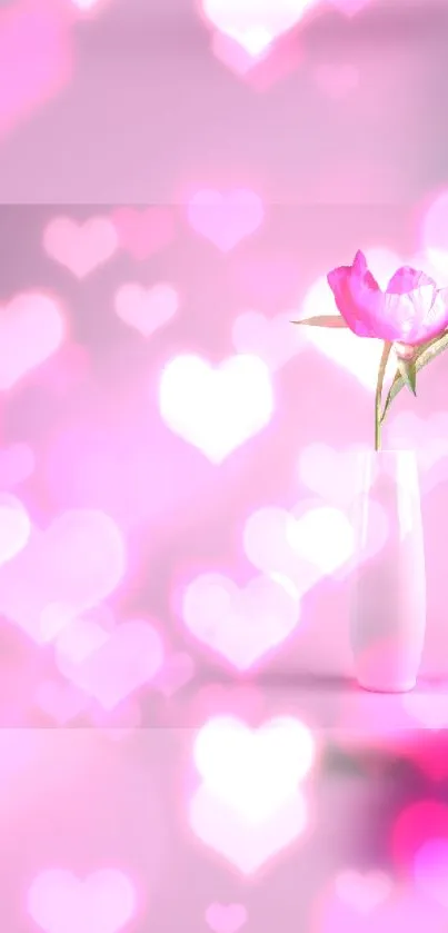 Beautiful pink flower in vase with heart bokeh effect.