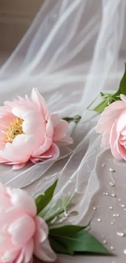 Soft pink floral wallpaper with delicate petals on display.