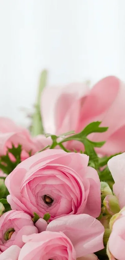 Delicate pink roses in a soft floral arrangement for mobile wallpaper.