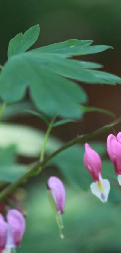 Delicate pink flowers with green leaves in a serene natural setting.