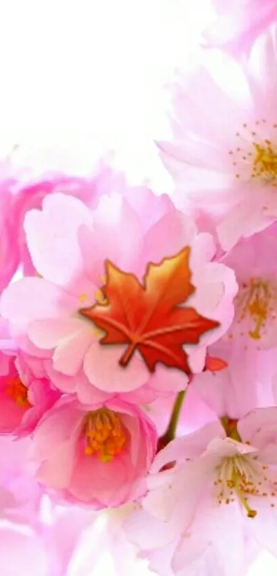 Pink floral wallpaper with red leaf accent on mobile.