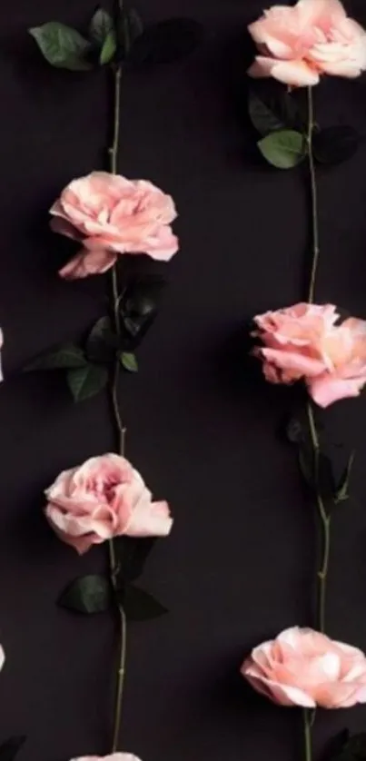 Wallpaper with elegant pink roses and dark background.