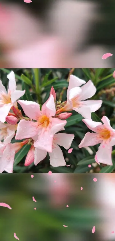 Delicate pink flowers amidst green leaves on wallpaper.