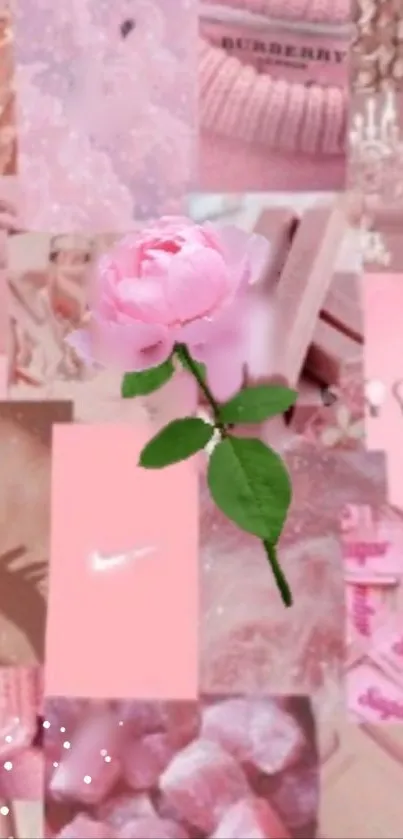 Elegant pink wallpaper with a single rose and fashion elements.