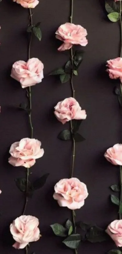 Dark background with elegant pink roses cascading vertically.