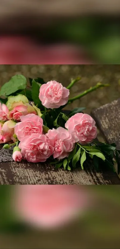 Pink roses on a rustic wooden bench wallpaper.