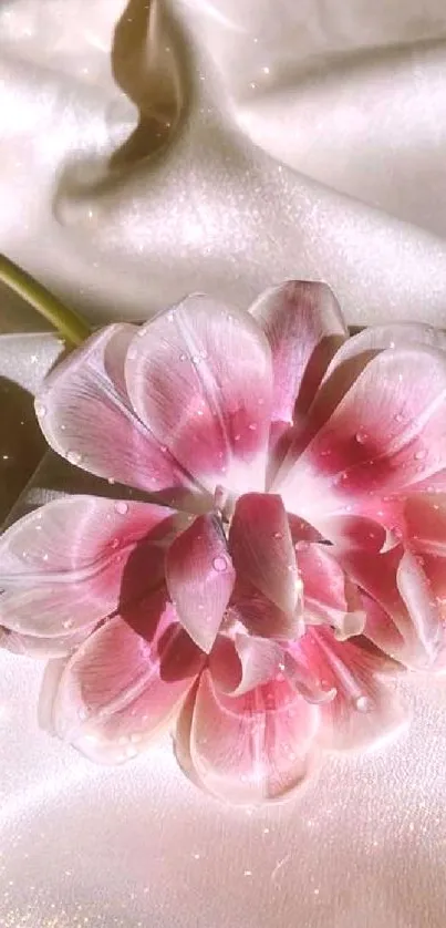 Elegant pink flower on silky fabric background wallpaper.