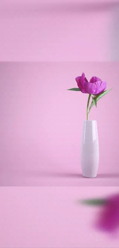 Pink flower in a white vase against a soft pink background.