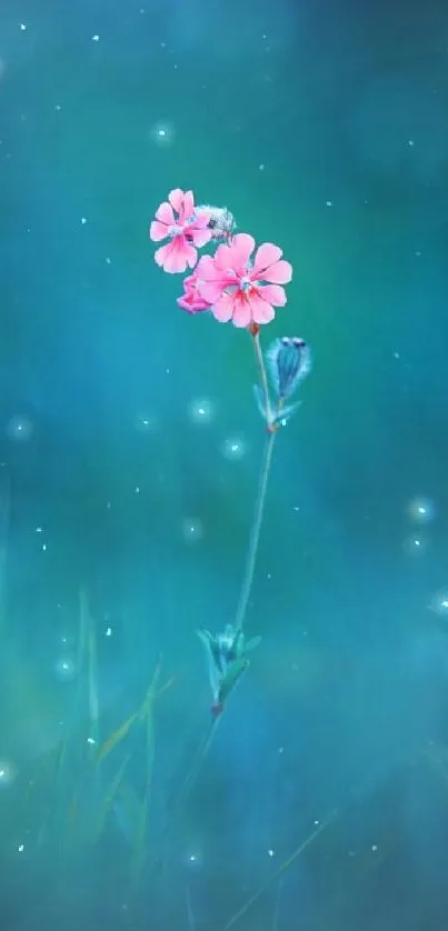 Elegant pink flowers with blue-green background.