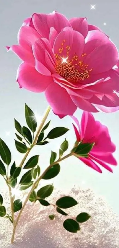 Elegant pink flower with green leaves on a soft background.