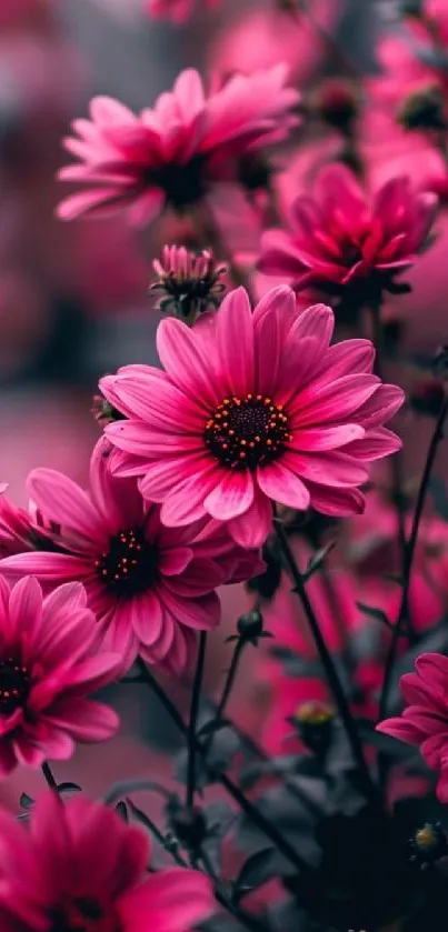 Elegant pink flowers with lush foliage.