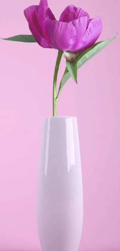 Pink flower in a sleek white vase on a soft background.