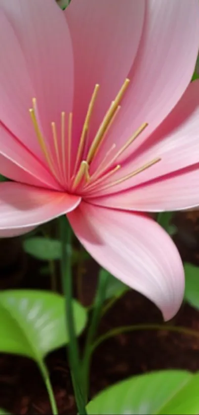 Elegant pink flower with green leaves, ideal phone wallpaper.