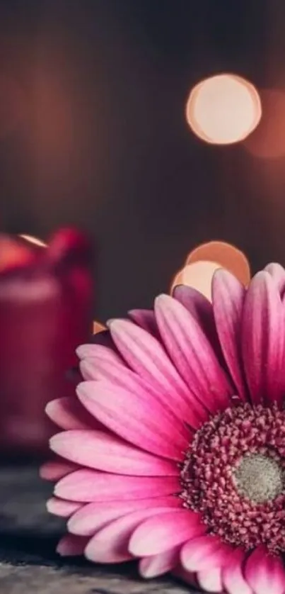 Beautiful pink flower with candlelight and bokeh effect background.