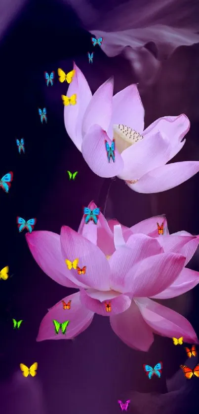 Pink lotus flowers set against a dark background, exuding elegance and tranquility.