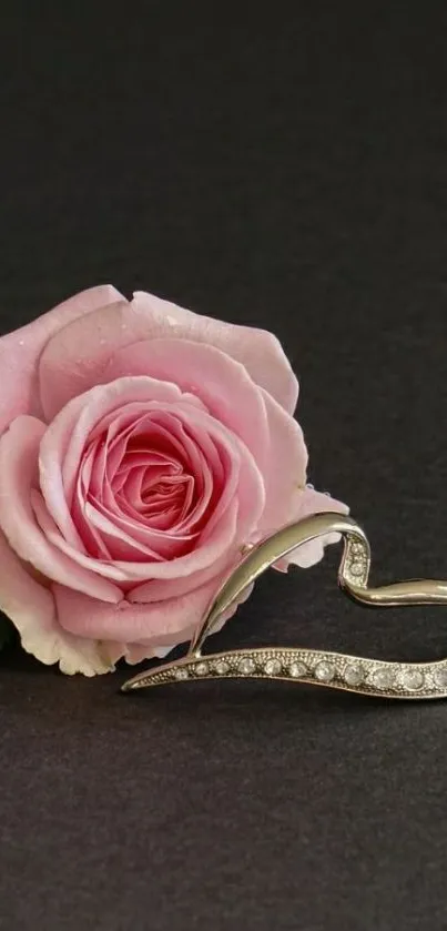 Pink rose and heart jewel on dark background.