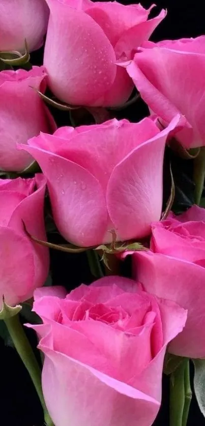 Mobile wallpaper of a pink rose bouquet on a dark background.