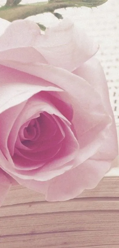 Elegant pink rose on open book mobile wallpaper.