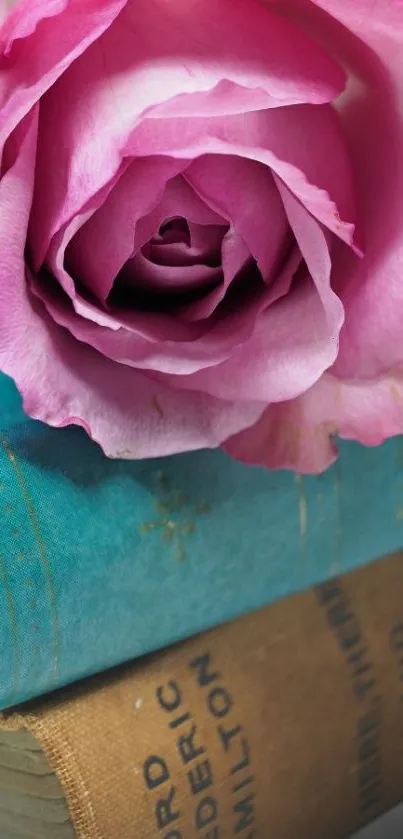 Pink rose resting on a stack of vintage books.