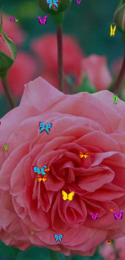 Close-up of a beautifully blooming pink rose with green buds.