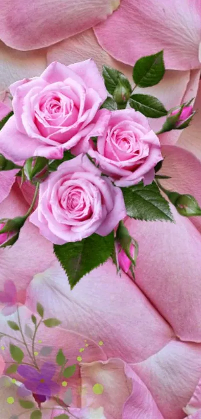 Elegant pink roses with lush green leaves on a delicate petal background.