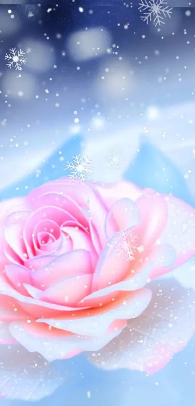 Elegant pink rose with snowflakes on a soft blue background wallpaper.