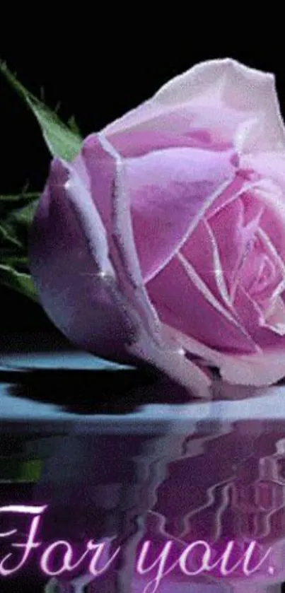 Elegant pink rose with reflection on a dark background.