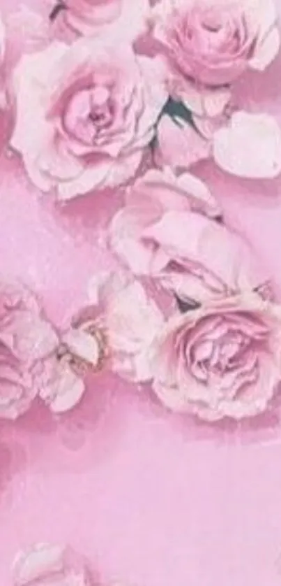 Elegant pink roses on pastel background, perfect for phone wallpaper.