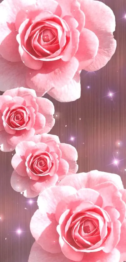 Elegant pink roses with stars on brown background wallpaper.