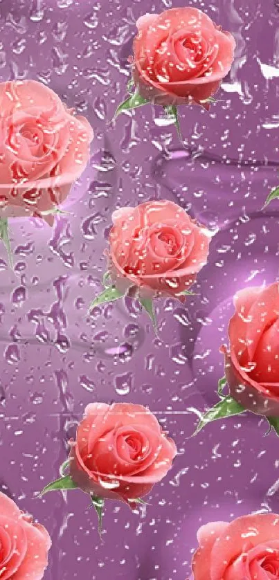 Elegant pink roses on a purple wallpaper background.