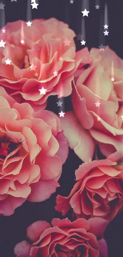 Pink roses with starry accents mobile wallpaper.