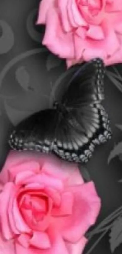 Pink roses and black butterfly wallpaper.