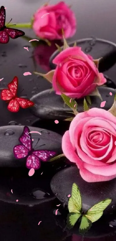 Pink roses and butterflies on black stones mobile wallpaper.