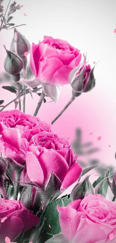 Elegant pink roses on a mobile wallpaper background.