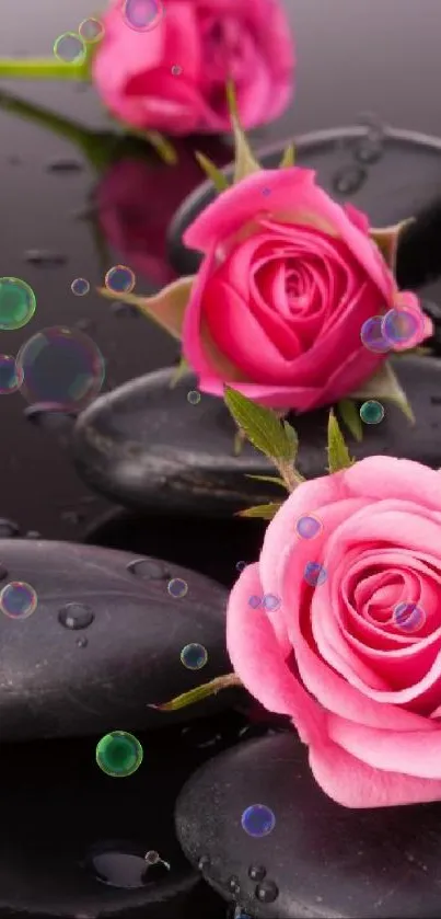 Elegant pink roses on black stones mobile wallpaper.