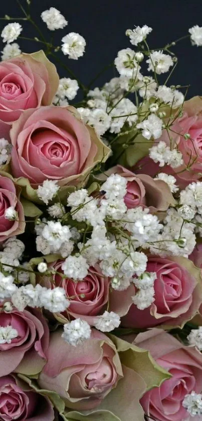 Elegant pink roses with white blossoms on a dark background.