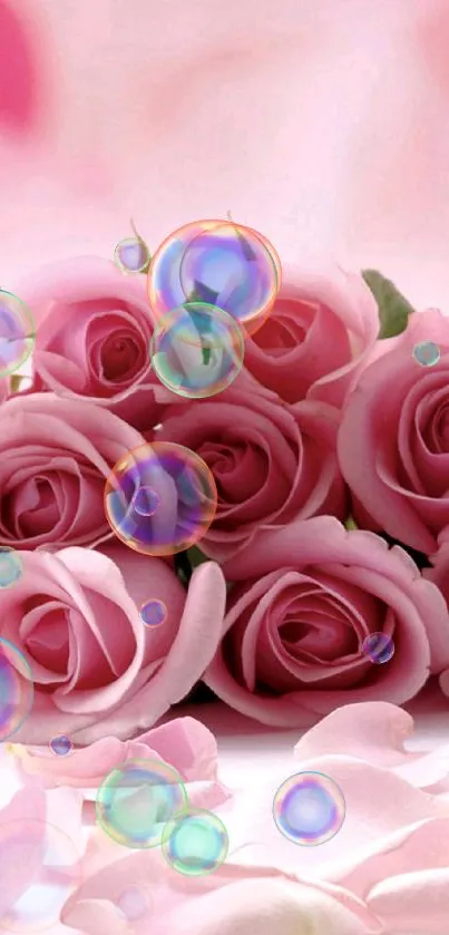 Beautiful pink roses with soft petals background.