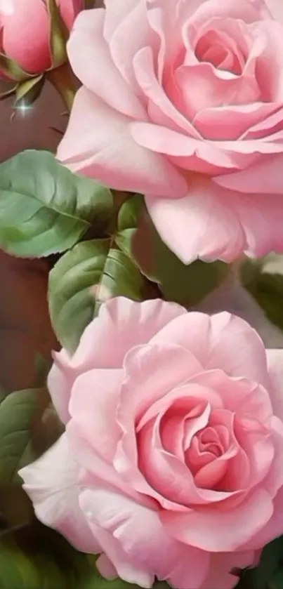 Vibrant pink roses and lush green leaves wallpaper.