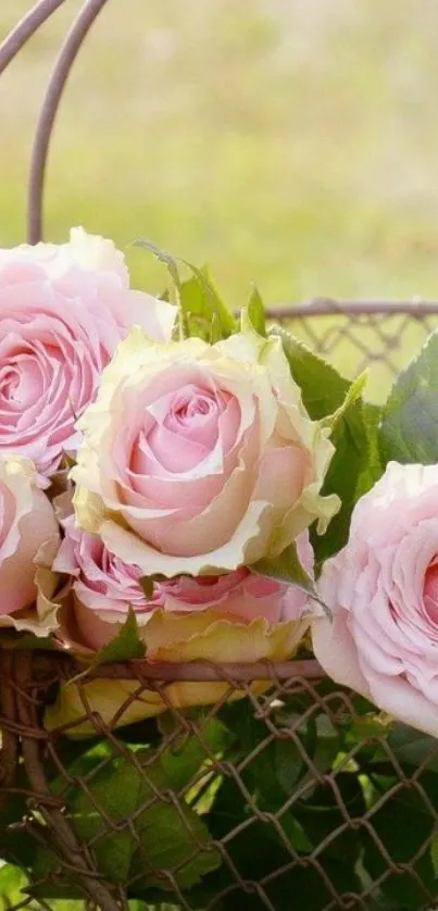 Elegant arrangement of light pink roses on a garden backdrop.