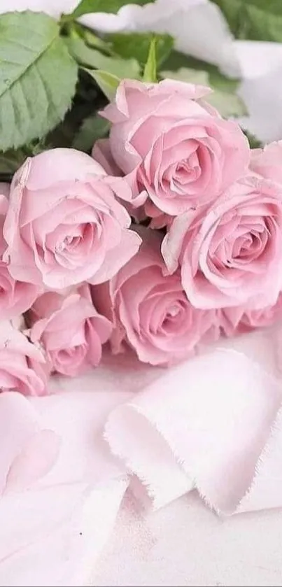 Pink roses with green leaves on soft background