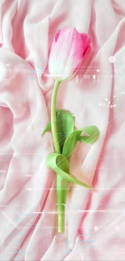 Pink tulip on soft fabric wallpaper.