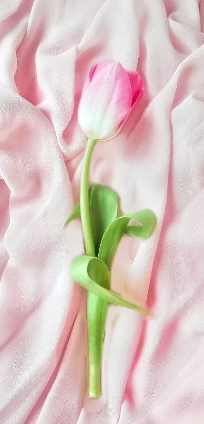 Pink tulip lying on soft pink fabric, creating a calming aesthetic.