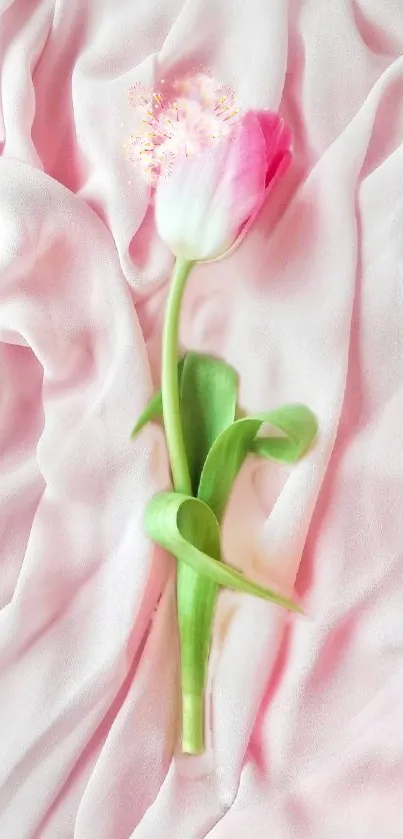 Single pink tulip on soft fabric wallpaper.