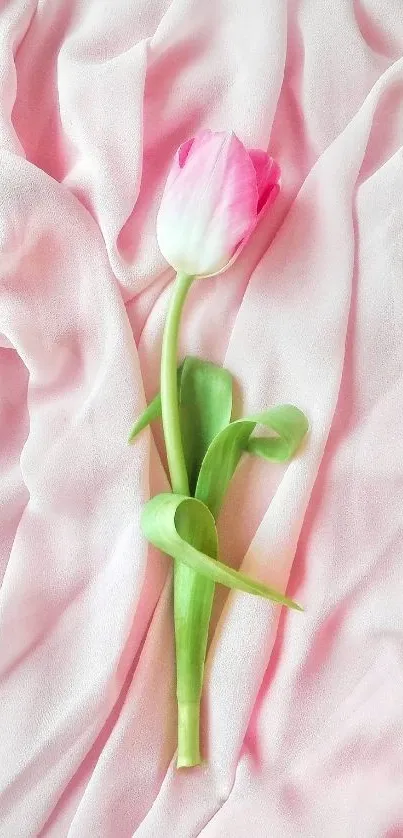 Pink tulip on pastel pink fabric, elegant wallpaper.