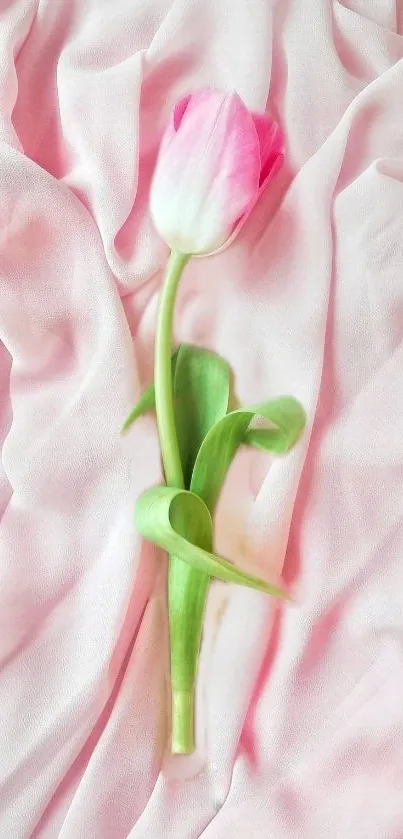 Single pink tulip on soft pink fabric background.