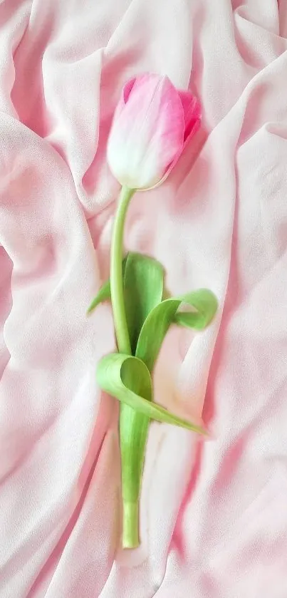 Single pink tulip on soft pink fabric wallpaper.