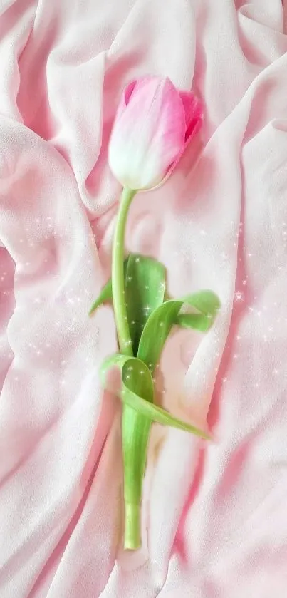 Elegant pink tulip on soft pink fabric with delicate glow.