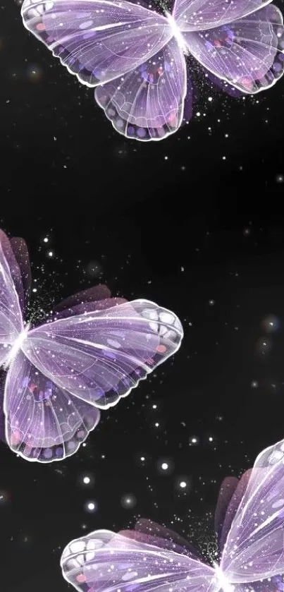 Elegant purple butterflies on a black background wallpaper.