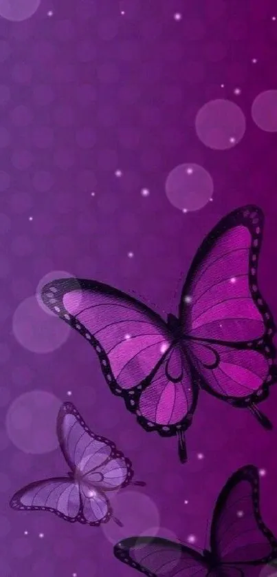 Purple butterfly art with elegant design on a vibrant background.